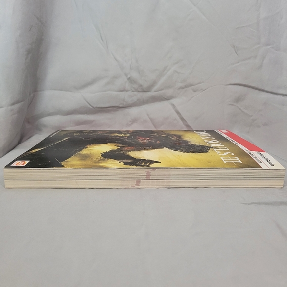 PS4 | Dark Souls III Duo Set | Game Disc + Case + Prima Official Game Guide - Picture 12 of 13